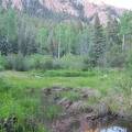 IMG 0153 copy