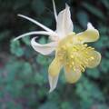 IMG 0318 copy