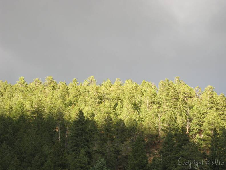 IMG_0380 copy.JPG