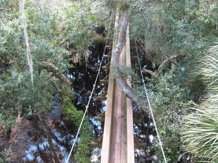 myakka-river-state-park-myakka-canopy-walkway img 0083 (2)
