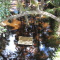 myakka-river-state-park-myakka-canopy-walkway img 0045